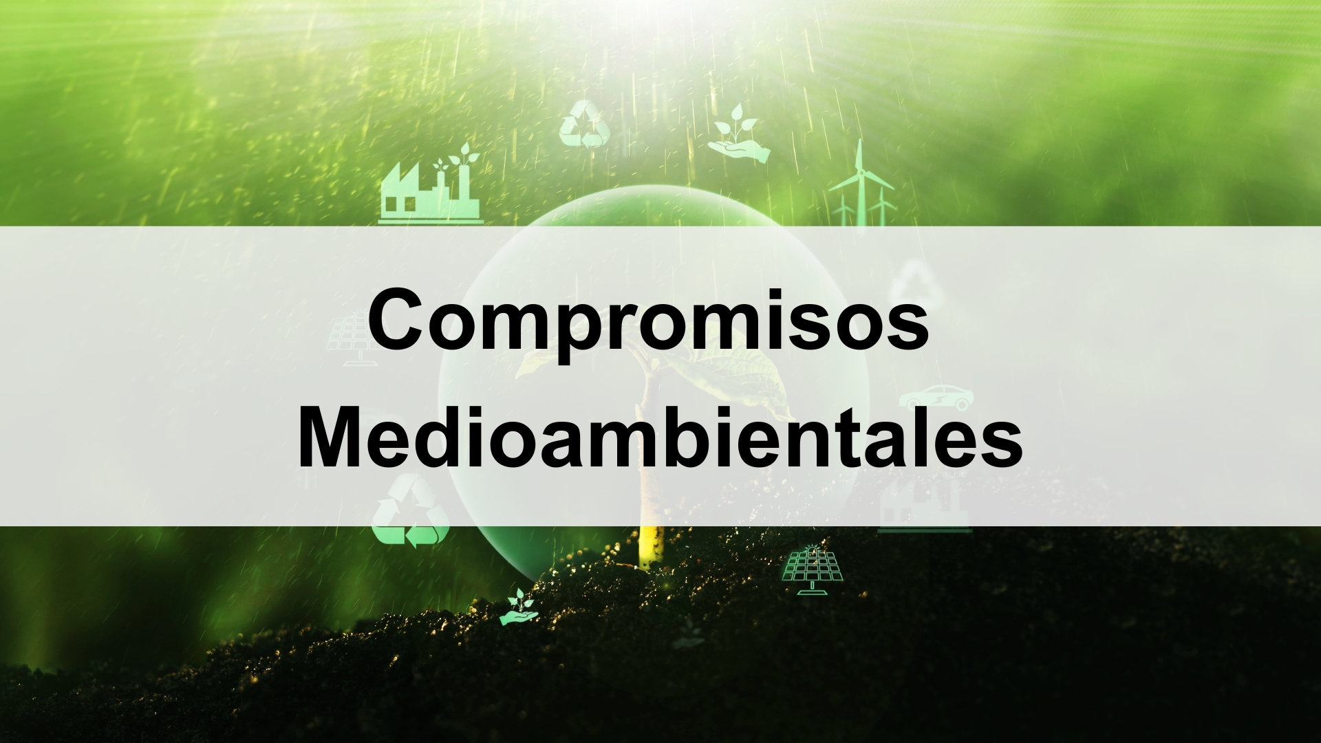 Representación de iniciativas medioambientales de Logista, impulsando sostenibilidad.